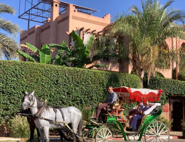 WhatsApp Image 2024-11-14 at 11.52.06